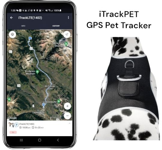 Dependable GPS GPRS Phone Pet Tracking App w/ Heavy Duty Mini Tracker Size:S
